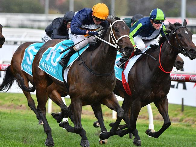 Stephen Baster pilots I am Eloquent to victory in the Aquis Jim Moloney Stakes.