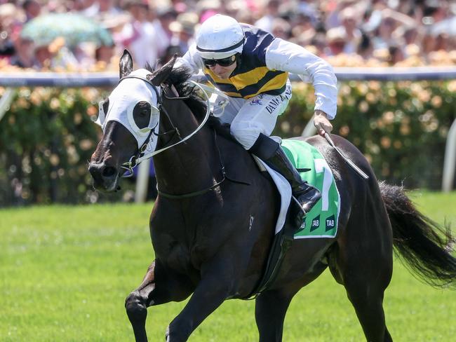 Warmonger wins the TAB Trophy at Flemington last year. Picture: George Sal-Racing Photos