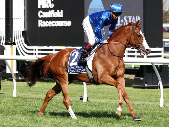 Cascadian (GB) on the way to the barriers prior to the running of The Sharp EIT All-Star Mile at Caulfield Racecourse on March 16, 2024 in Caulfield, Australia. (Photo by George Sal/Racing Photos via Getty Images)