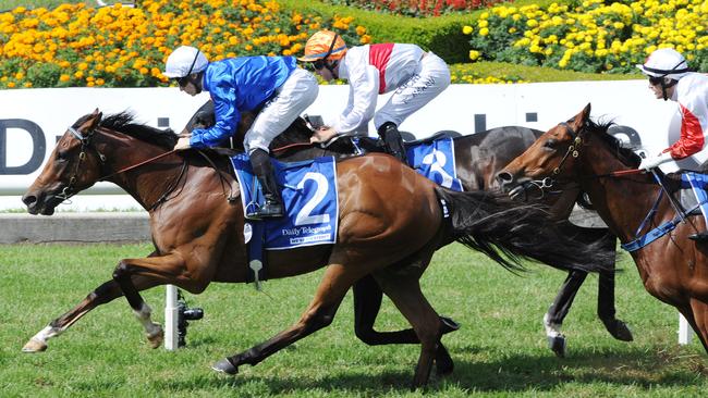 It’s Somewhat landed some good bets when winning on Saturday. Picture: Simon Bullard