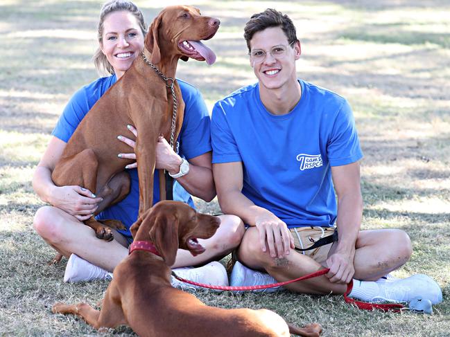 Mitch Larkin and Emily Seebohm with their dogs Max and Maple. Picture: Annette Dew