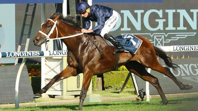 Shinzo wins the Golden Slipper.