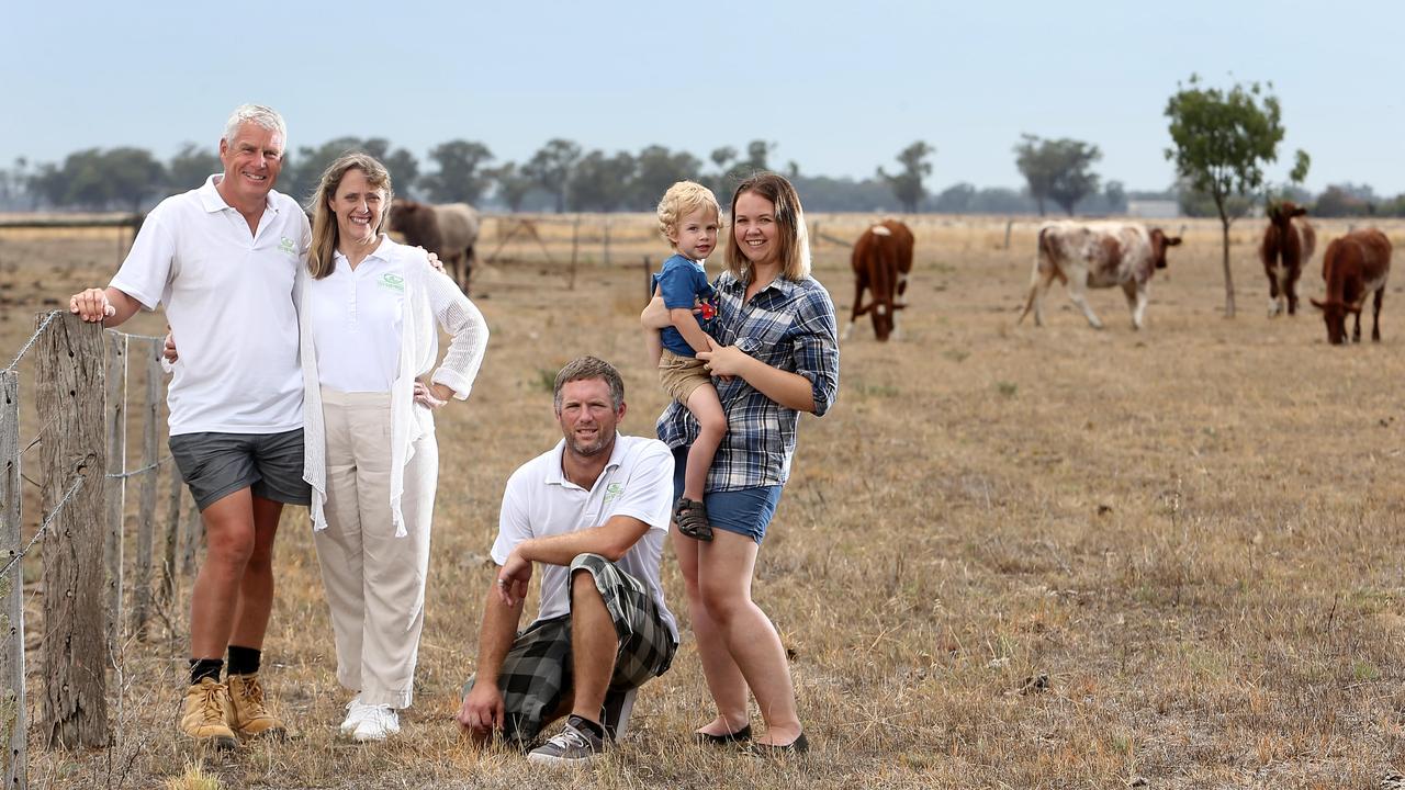 Gary and Sue with their daughter, Hollie, son-in-law, Chris, and grandson, Taylor, 2. Picture: Yuri Kouzmin