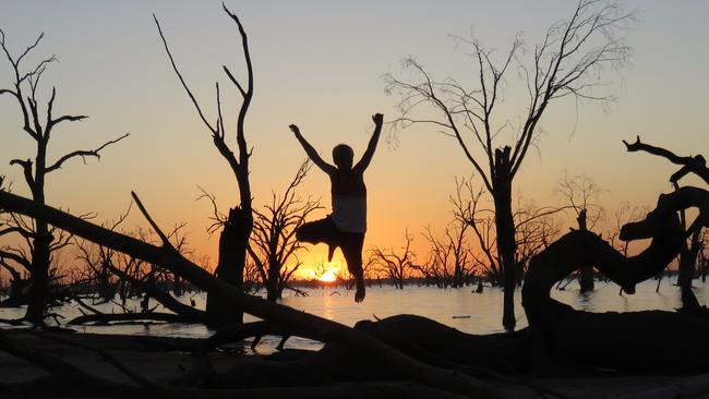 Outback Feature: A 12-year-old child is seen jumping from a tree near Menindee Lakes, at sunset. Pic: Danny Wheeler