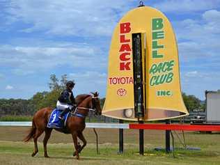 RACE DAY: Bell Races hosted their annual Race Day on Saturday and had a great turnout. Picture: Meg Gannon