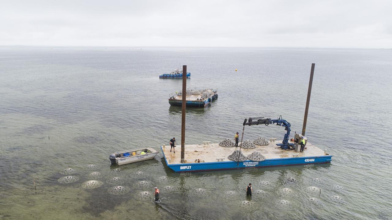 Installation of the underwater reef at Clifton Springs. Picture: Reg Ryan