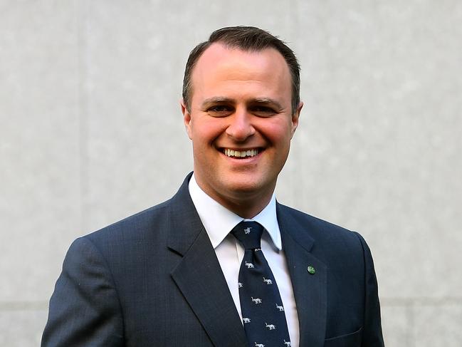 Liberal member for Goldstein, Tim Wilson. Picture: Kym Smith.