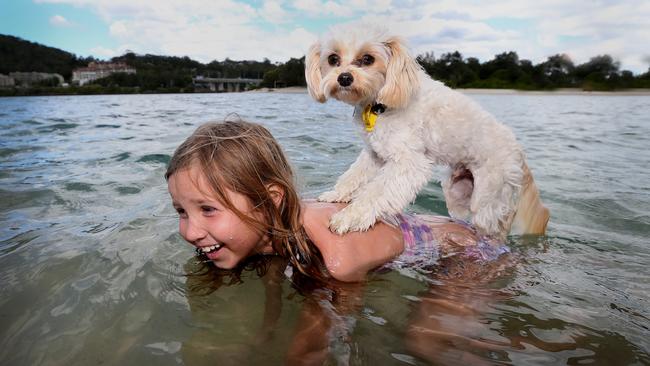 Vicky Rowe with Charlie the dog at Currumbin Creek. Picture: Jono Searle.