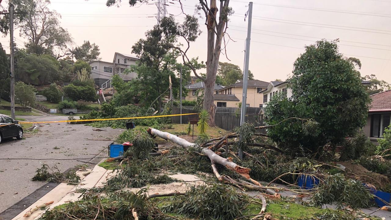 A man had to be rescued from his car, parked in his driveway in Rupari Pl, Davidson, after live powerlines, brought down by falling trees, fell across it during the storm. Picture: Jim O'Rourke.