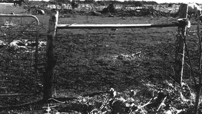 The scene of one of the 1986 attacks on the young girl. Source: Victoria Police