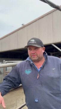 Brad Collins talks dairy farms