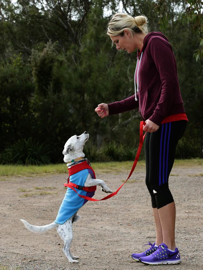 O'Connell training Barnaby. Picture: Annika Enderborg