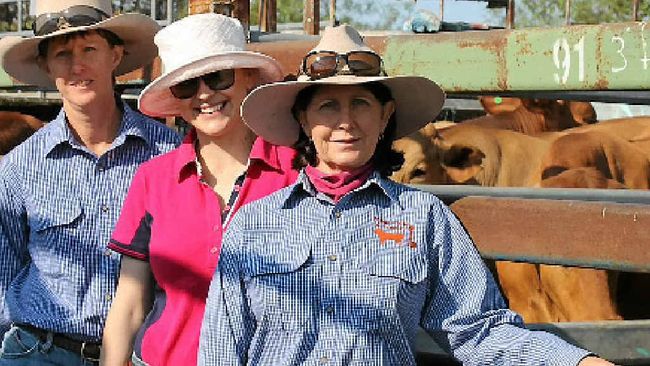 Rockhampton Region Cattle Sales 