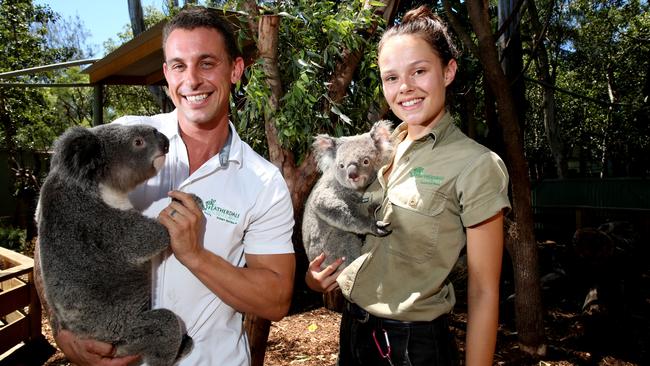 Featherdale Wildlife Park says $20 charge is to help protect its koalas ...