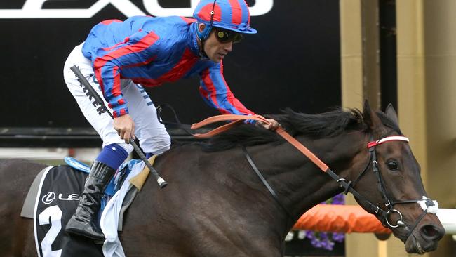 A Prince Of Arran secured a spot in the Melbourne Cup with its victory in the Lexus Stakes. Picture: AAP