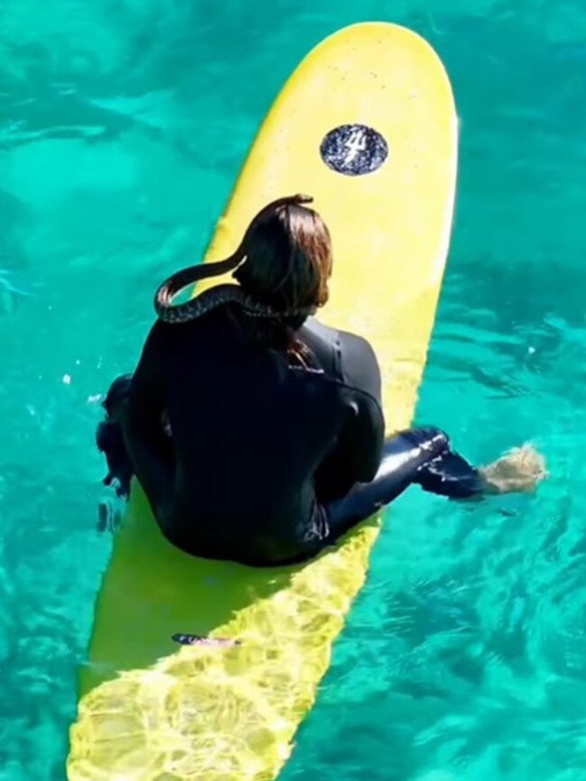 Higor Fiuza surfing with his carpet python Shiva. Picture: Instagram.