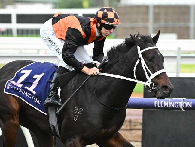 MELBOURNE, AUSTRALIA - APRIL 25: Damian Lane riding Ahuriri winning Race 6, the Vrc St Leger, during Melbourne Racing on Anzac day at Flemington Racecourse on April 25, 2024 in Melbourne, Australia. (Photo by Vince Caligiuri/Getty Images)