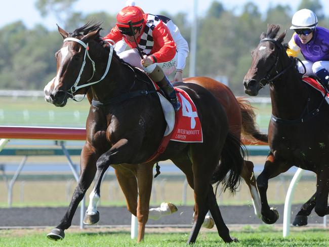 Jim Byrne pilots Elegant Composure to a strong win. Picture: Trackside Photography