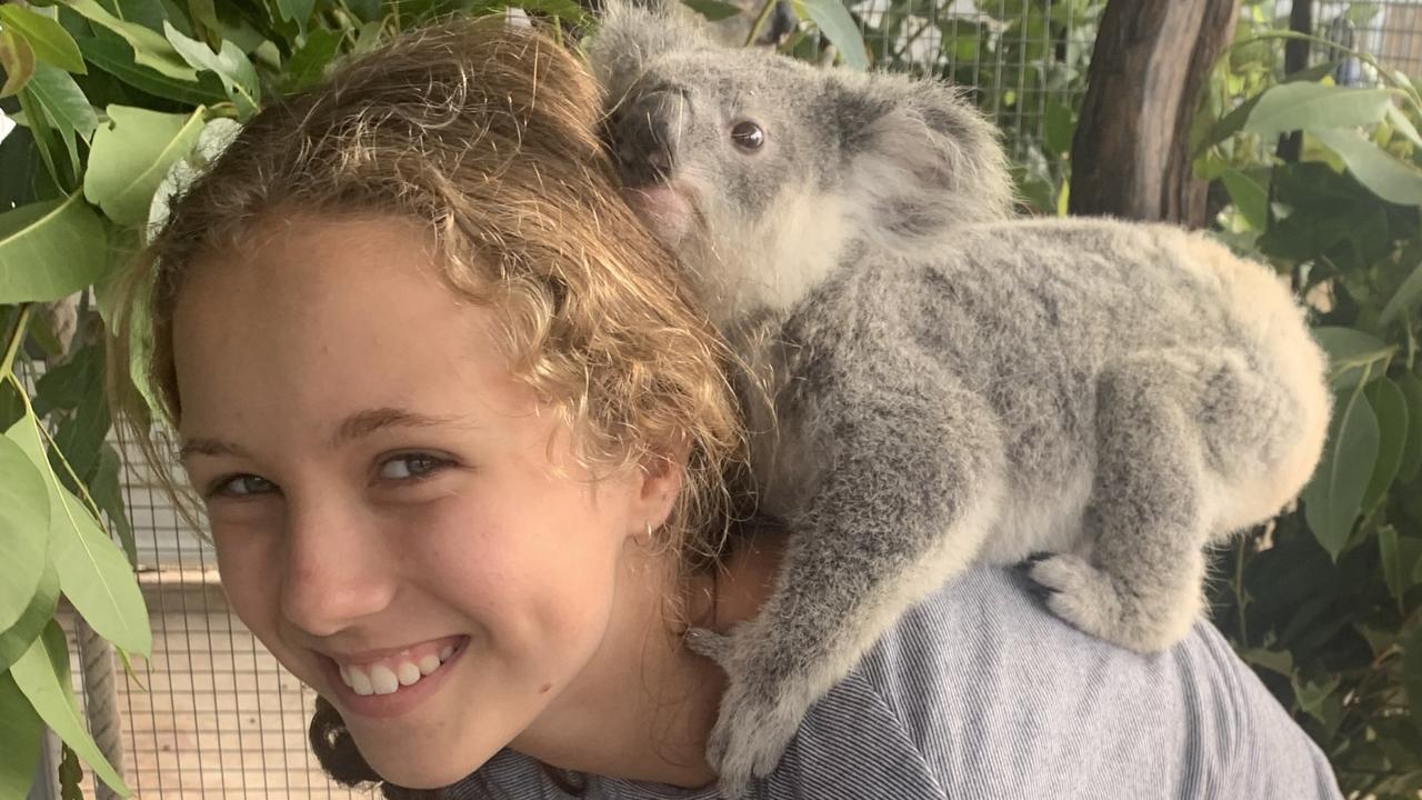 ‘Koala Whisperer’ Izzy Bee thrust on to world stage after release of