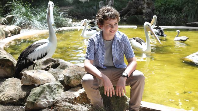 Finn Little with “Salty”, one of the trained pelicans who played Mr Percival in Storm Boy. Picture: Dean Martin