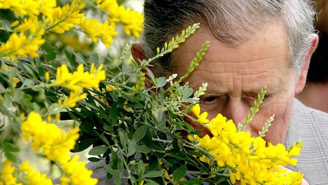 Charles visits the National Botanical Gardens of Wales.