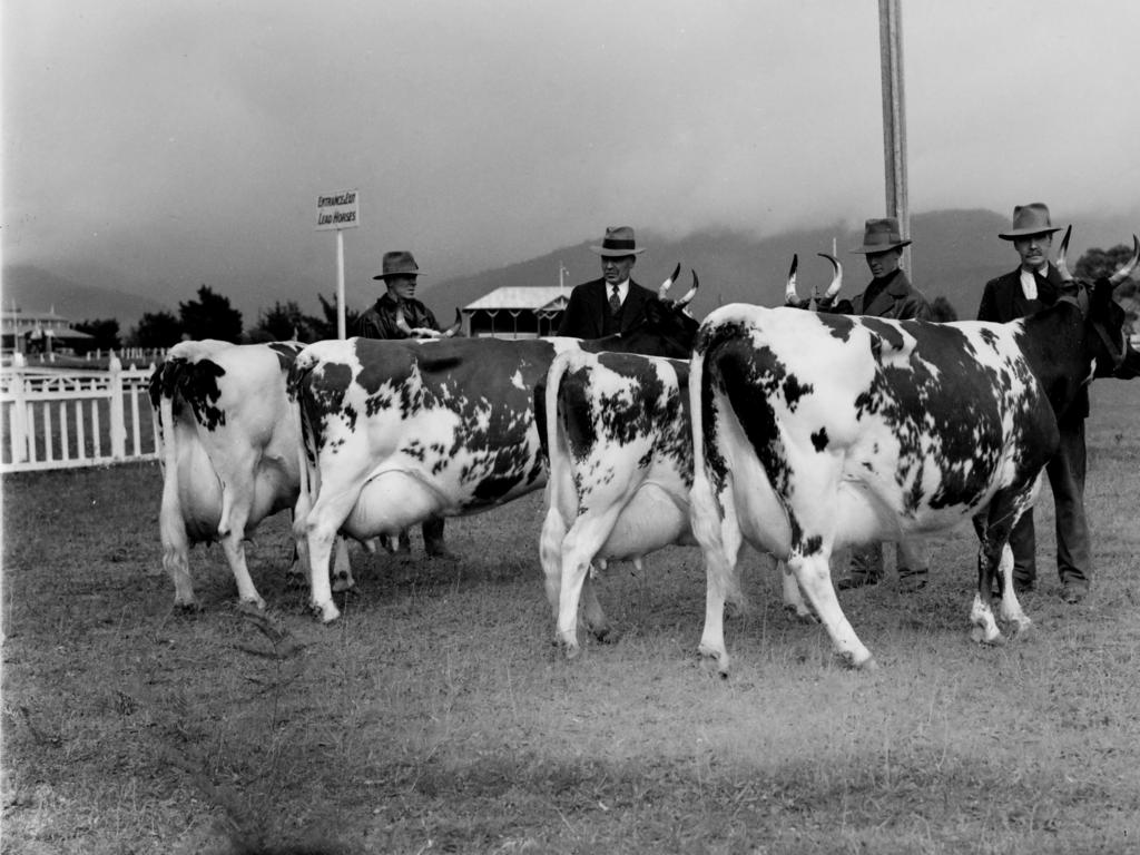 Mercury Archive historical file picture Royal Hobart Show.