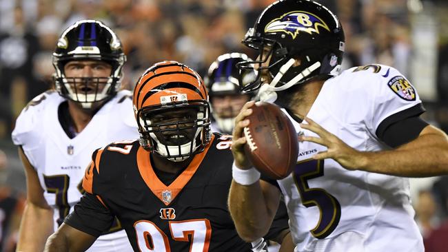 Cincinnati Bengals defensive tackle Geno Atkins (97) chases down Baltimore Ravens quarterback Joe Flacco (5). (AP Photo/Bryan Woolston)