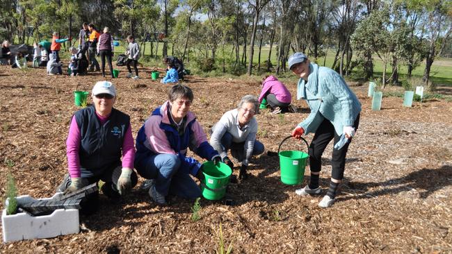 The tree planting initiative was part of a collaboration between many councils called Greening the West.