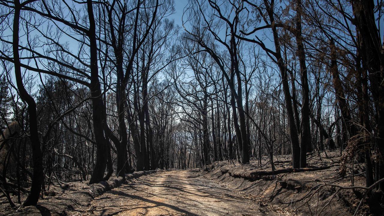 Another of Brad Fleet’s striking photos taken inside the Cudlee Creek fireground, at Lenswood. Picture: Brad Fleet