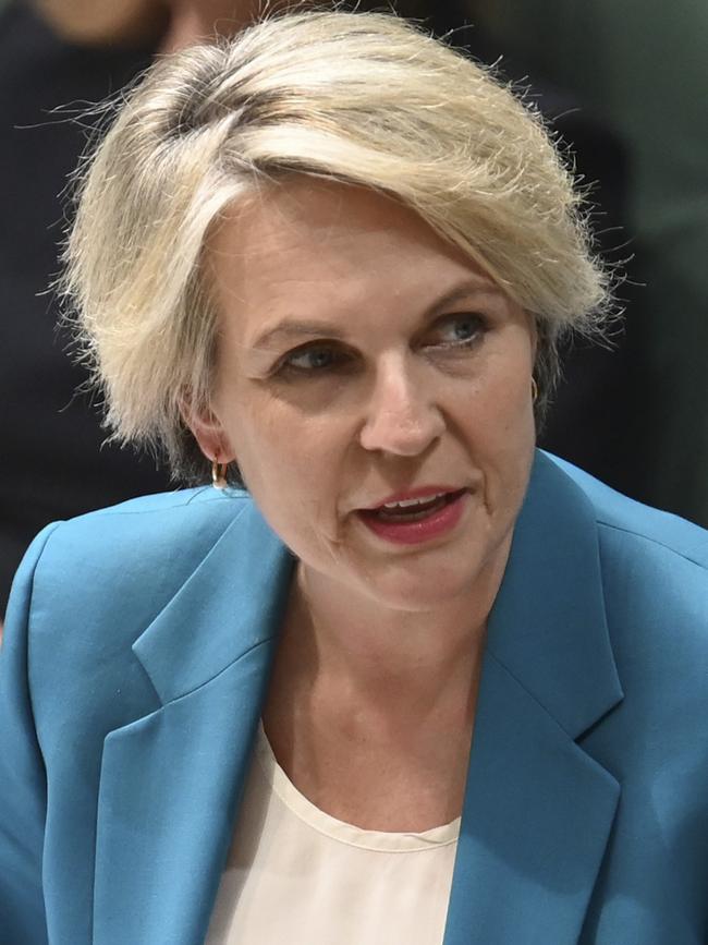 Labor MP Tanya Plibersek said Saturday night’s attack highlighted the need for more mental health support. Picture: NCA NewsWire/ Martin Ollman