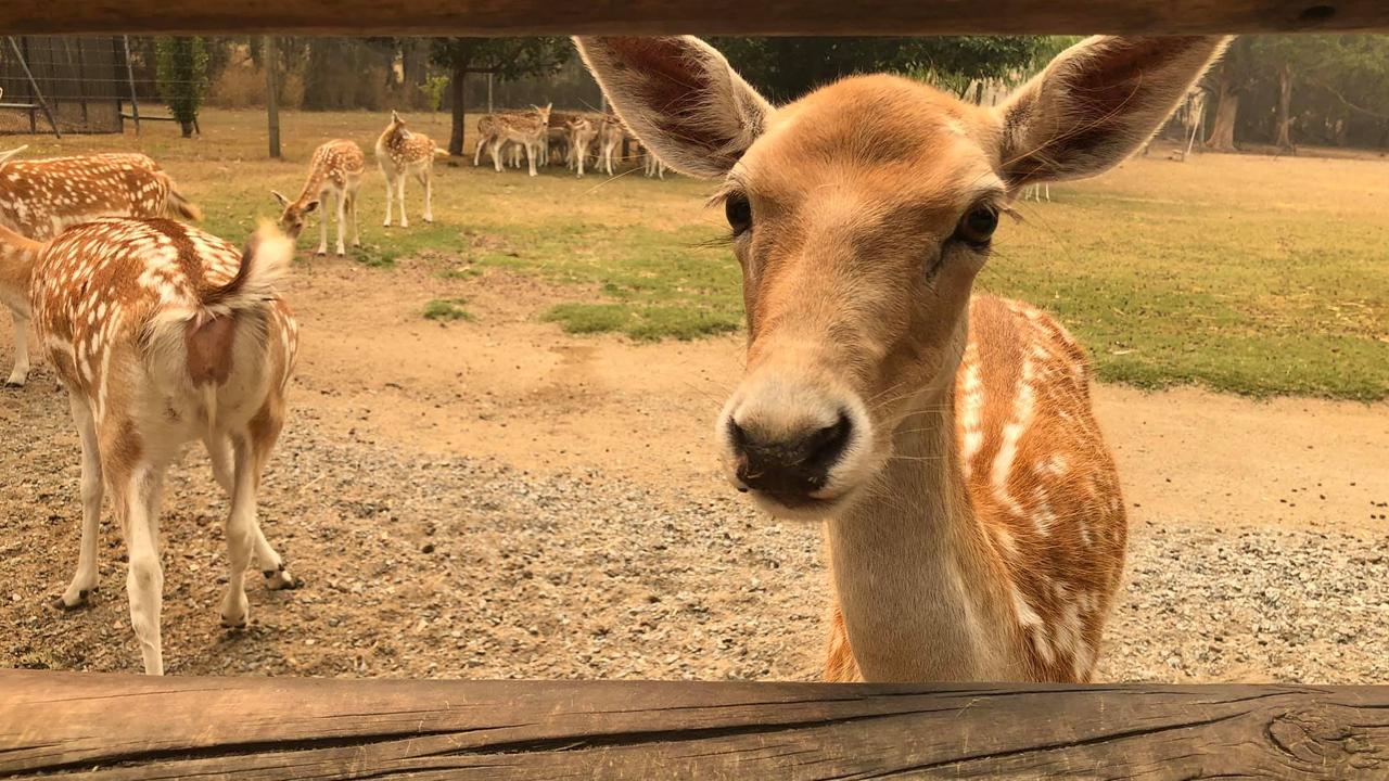 She had been in the area on an excursion years ago. Picture: Facebook/JABA Travels