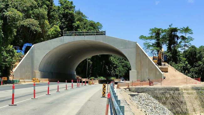 A cassowary crossing over the Bruce Highway near Feluga has been dubbed a $40m white elephant after new pics reveal a near vertical cliff that makes access by the flightless birds almost impossible. Picture: Christopher Duffy