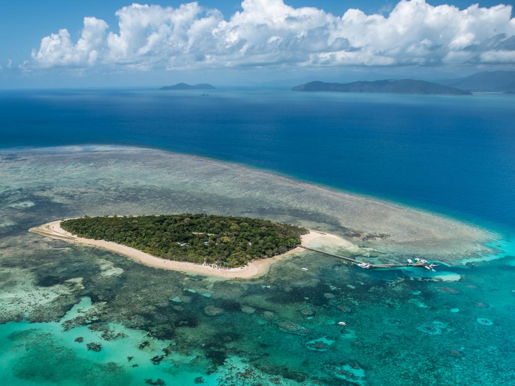 UN World Heritage Committee report could land Reef on danger list ...