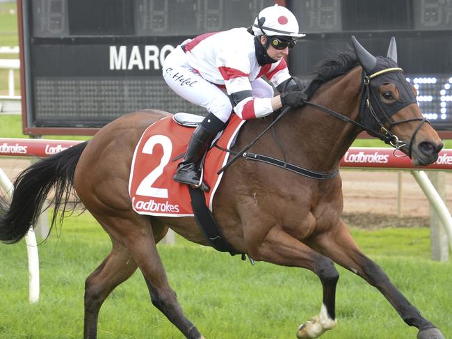 Holt ridden by Carleen Hefel wins the Ladbrokes Maiden Plate at Moe Racecourse on August 29, 2021 in Moe, Australia. (Ross Holburt/Racing Photos via Getty Images)