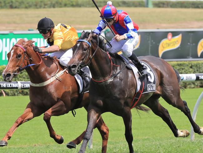 SYDNEY, AUSTRALIA - OCTOBER 28:  Robert Thompson on Fickle Folly , left , wins race 3 from Tye Angland on I Thought So during Sydney Racing at Royal Randwick Racecourse on October 28, 2017 in Sydney, Australia.  (Photo by Mark Evans/Getty Images)