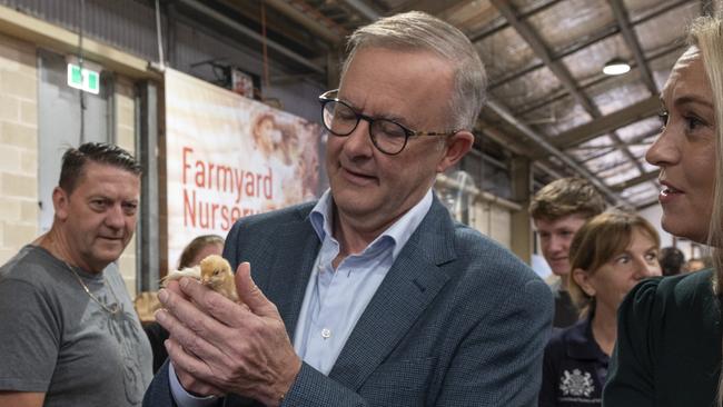 SYDNEY, AUSTRALIA - NewsWire, April 10, 2022. The Leader of the Australian Labor Party,  Anthony Albanese at the Sydney Royal Easter Show with partner Jodie Haydon and farmer James Kemp (left). Picture: Monde Photography on behalf of RAS of NSW