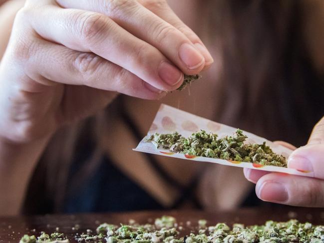 An anonymous woman placing marijuana flower into a joint paper to smoke.  Picture: istock