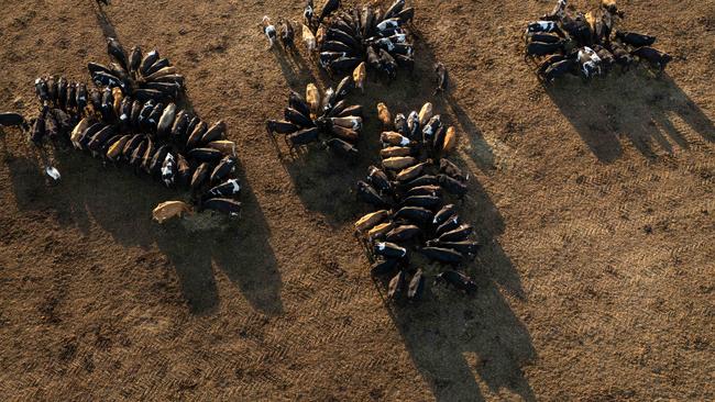Aerial picture of Ben Bennett’s southwest Victorian farm. Picture: Mark Stewart