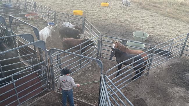 Action from the Noonamah Rodeo. Picture: Zizi Averill