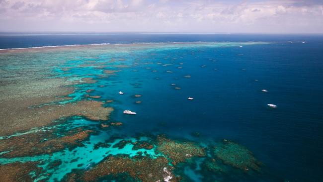 At over 344,400 square kilometres and home to the world's largest coral reef ecosystem, the Great Barrier Reef includes 3000 individual reefs, 300 coral cays and 150 inshore mangrove islands. It extends south from the northern tip of Queensland to just north of Bundaberg and is home to so many species of aquatic life that the jellyfish category alone comes in at over 100.But best of all, much of it can be explored via diving and it's just a short flight away from most Australian capitals.