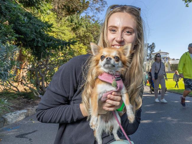 RSPCA SA's Million Paws Walk in Adelaide on May 25, 2025. Picture: Ben Clark