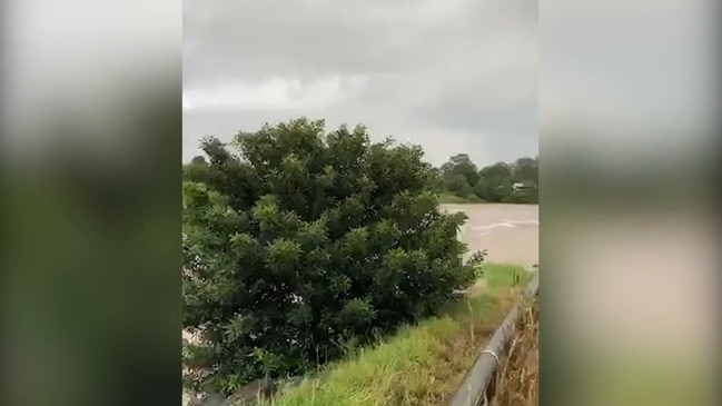 RAW: Coomera River in flood