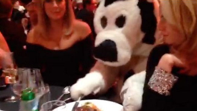 Sunrise team and Cash Cow at the Logies 2014.