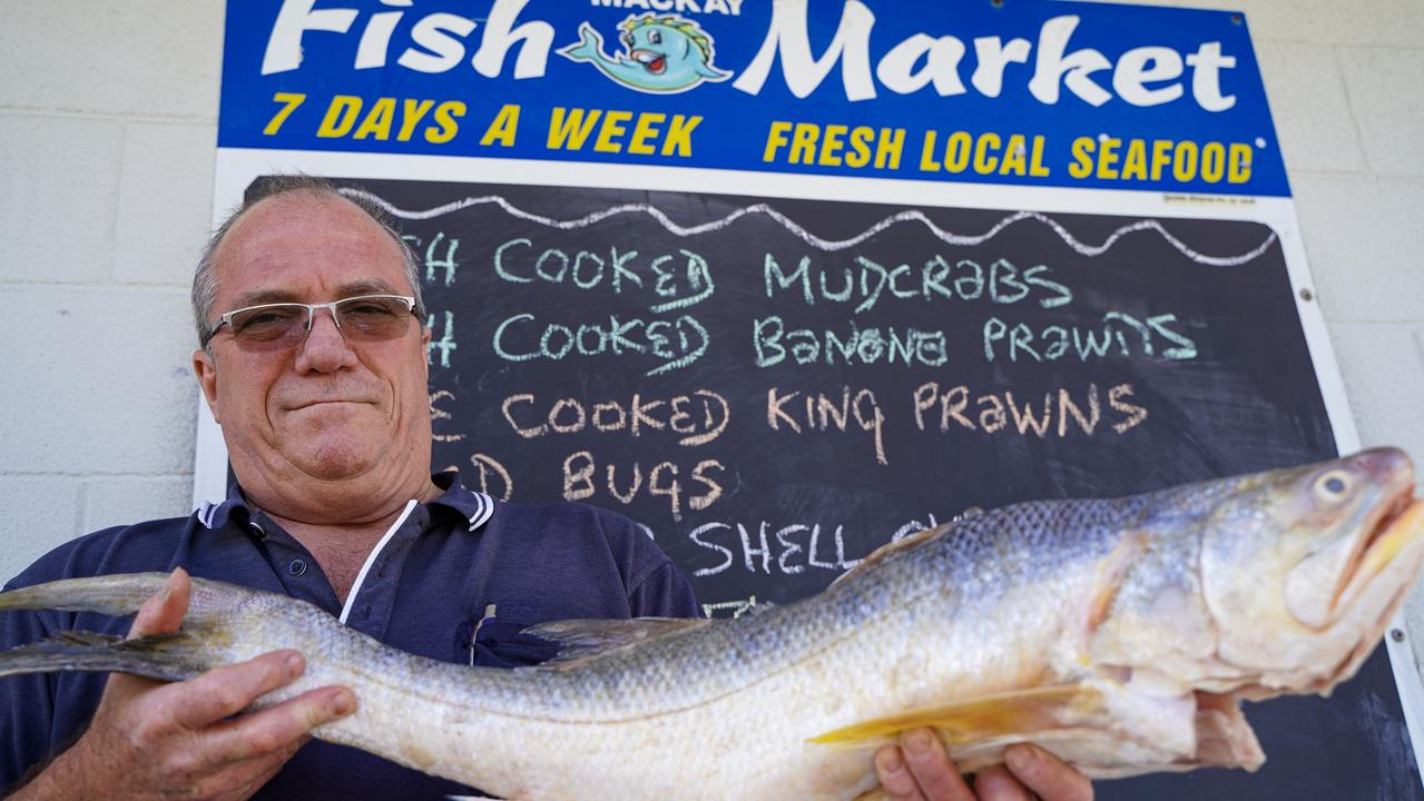 Mackay Reef Fish Market owner David Caracciolo says localised catch quotas would just force commercial fishers to move further and further away and eventually the industry will collapse. Picture: Heidi Petith