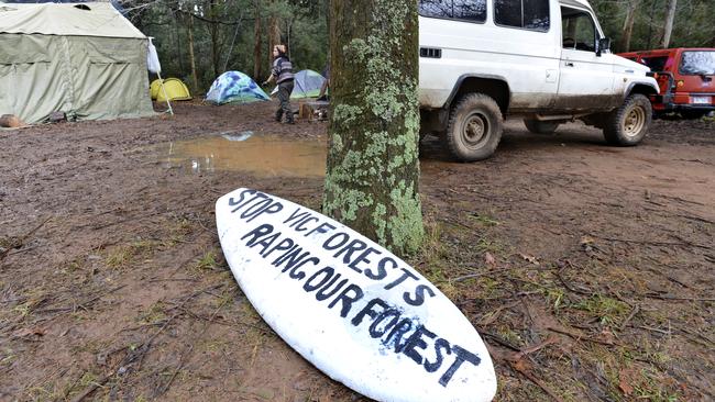 Message board: Anti-logging protestors have managed to once agin halt native forest harvesting, bringing timber communities to their knees.