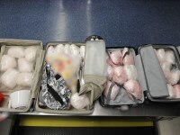 US teen caught attempting to smuggle 26kg of meth into Australia