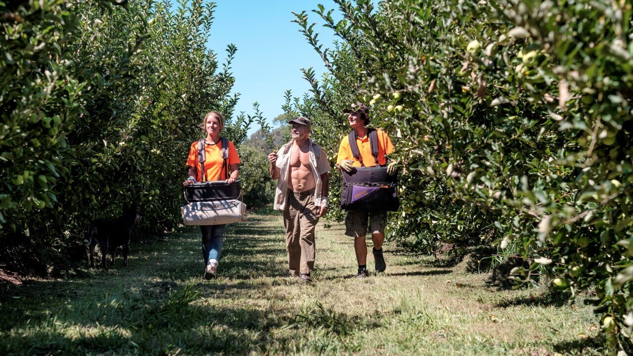 Pacific Island Workers Arrive In Victoria To Help Fruit Farmers Sky