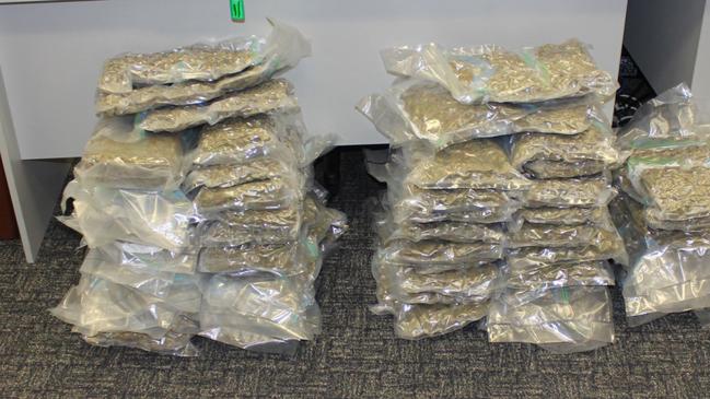 Marijuana seized by Sunshine Coast police.