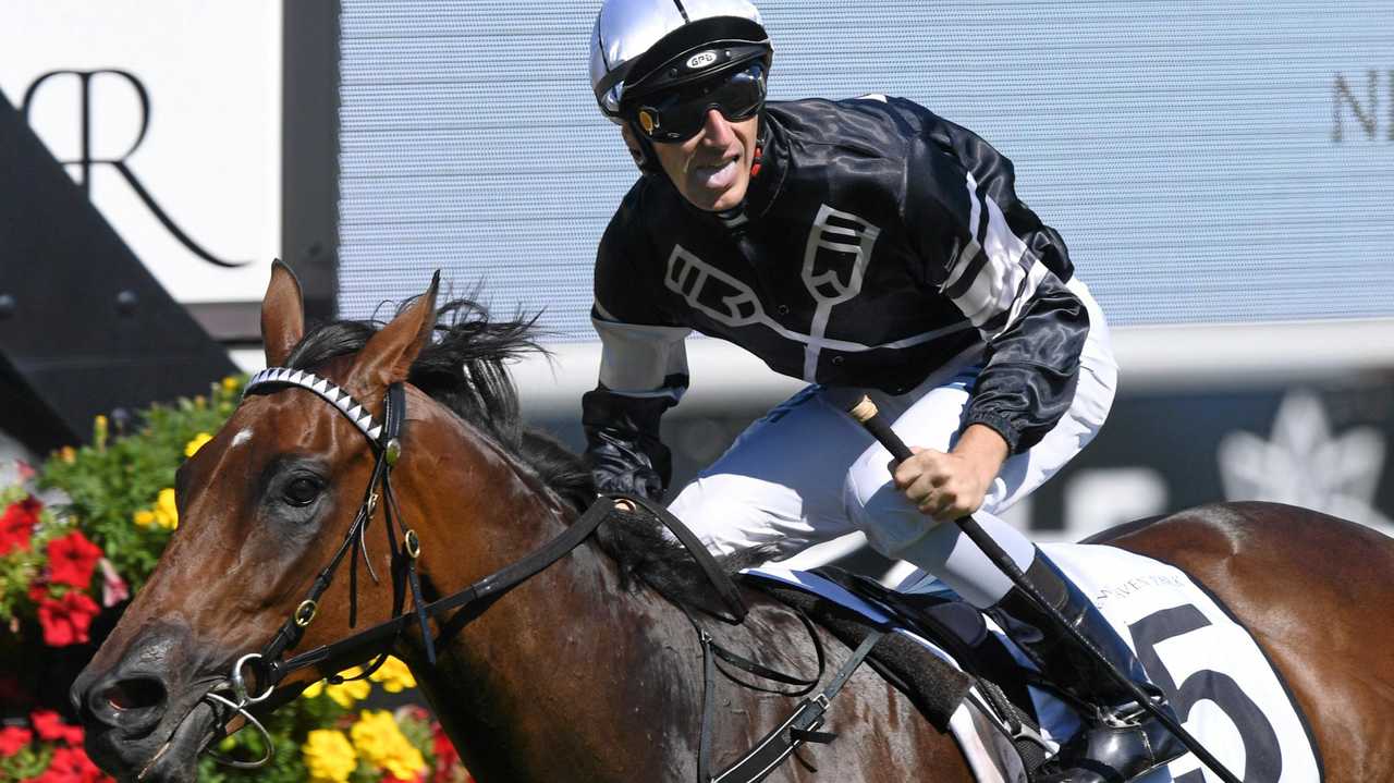 CHAMPION: Looker flies to victory in $500,000 final | Daily Telegraph