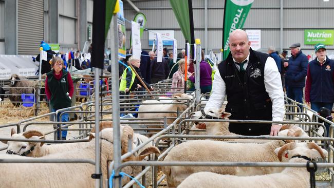 Vice president of the Bendigo Sheep and Wool show Jason O’Loghlin. Picture: Zoe Phillips